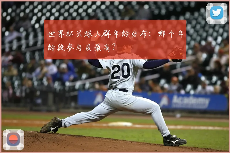 世界杯买球人群年龄分布：哪个年龄段参与度最高？