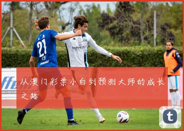从澳门彩票小白到预测大师的成长之路