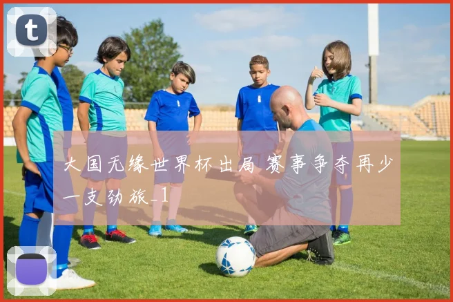 大国无缘世界杯出局 赛事争夺再少一支劲旅_1