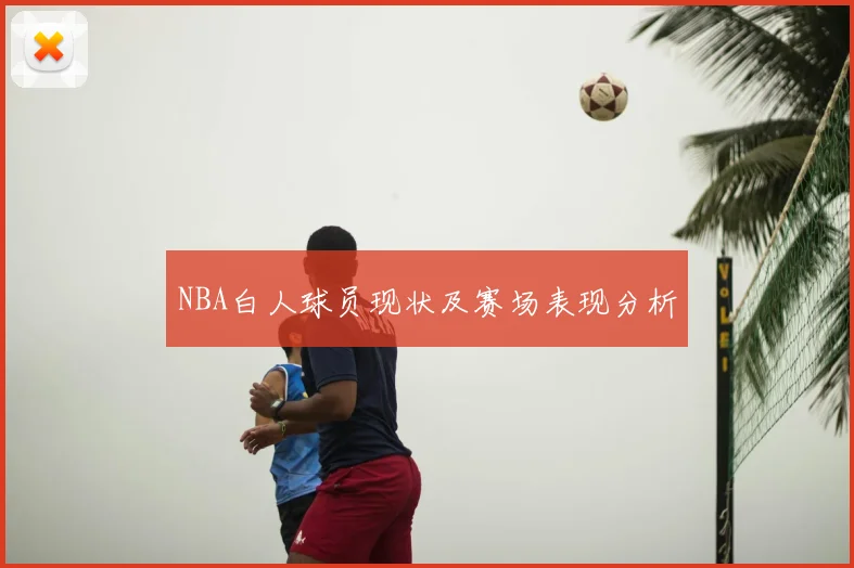 NBA白人球员现状及赛场表现分析