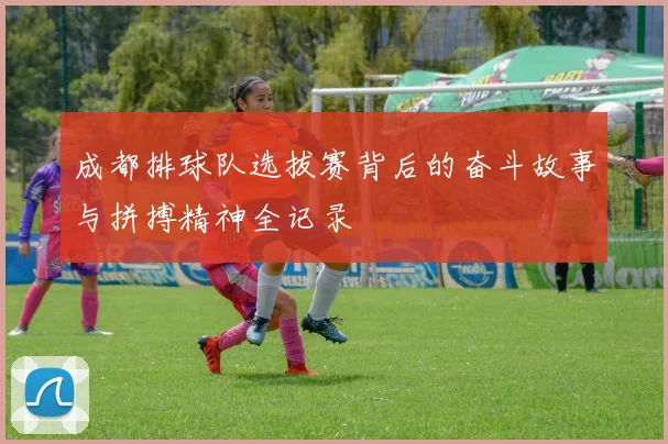 成都排球队选拔赛背后的奋斗故事与拼搏精神全记录