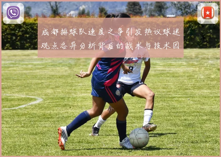成都排球队速度之争引发热议球迷观点各异分析背后的战术与技术因素