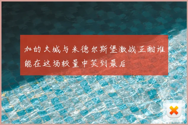 加的夫城与米德尔斯堡激战正酣谁能在这场较量中笑到最后
