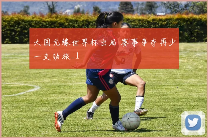 大国无缘世界杯出局 赛事争夺再少一支劲旅_1