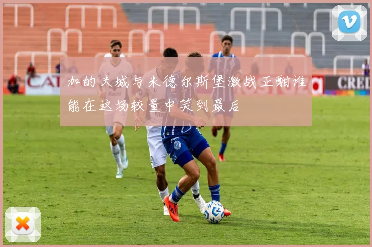加的夫城与米德尔斯堡激战正酣谁能在这场较量中笑到最后