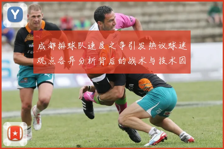 成都排球队速度之争引发热议球迷观点各异分析背后的战术与技术因素