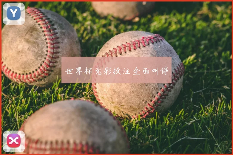 世界杯竞彩投注全面叫停