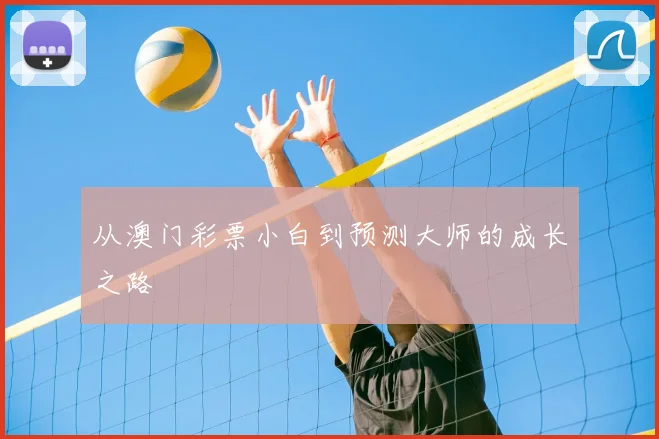 从澳门彩票小白到预测大师的成长之路
