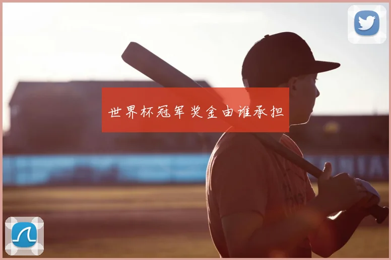世界杯冠军奖金由谁承担