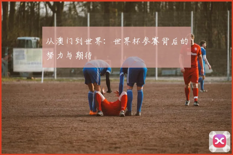 从澳门到世界：世界杯参赛背后的努力与期待
