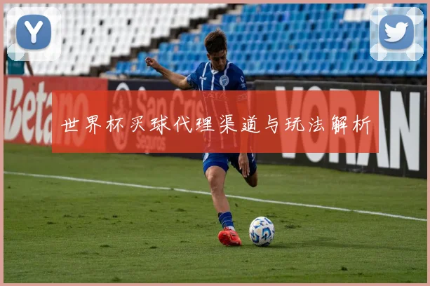世界杯买球代理渠道与玩法解析