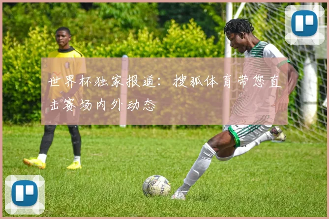 世界杯独家报道：搜狐体育带您直击赛场内外动态