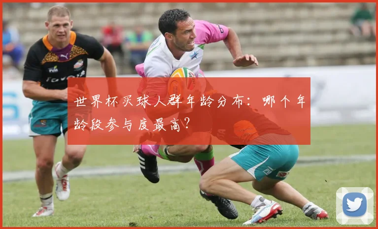 世界杯买球人群年龄分布：哪个年龄段参与度最高？