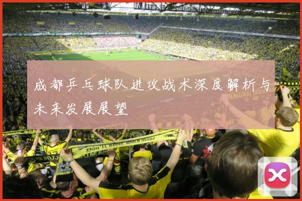 成都乒乓球队进攻战术深度解析与未来发展展望